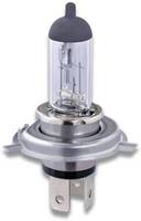 Bosch Headlights at @ ₹1