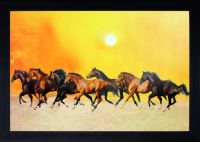 Saf Seven Running Horses Painting ,(25 X 35 X 3 Cms Framed Painting) SWNF4152- Amazon