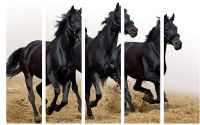 999Store Multiple Frames Wall Art Panels Wooden Frame Printed Black Horses Like Modern Wall Art Painting - 5 Frames (148 X 76 Cms)- Amazon