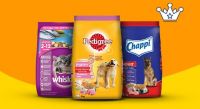 GET 20% BACKUP TO Rs.1000 on Pet Foods- Amazon