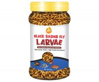 Boltz Black Soldier Fly Larvae Dried All Life Stages Fish Food Treat -60 gm(800+ larave), Natural Food- Amazon