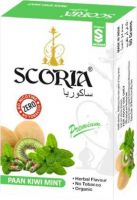 SCORIA Premuim Quality Herbal Hookah Molasses (100% Nicotine and Tobacco Free) Paan Kiwi Mint Hookah Flavor  (50 g)- Flipkart