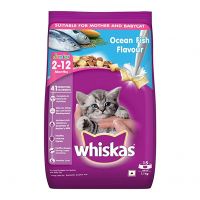 Whiskas Kitten Small (2-12 months) Dry Cat Food, Ocean Fish, 1.1kg Pack- Amazon