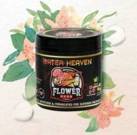 water heaven Flower Horn Large pellets Chicken, Liver, Mealworm, Sea Food, Shrimp 0.24 kg Dry Adult, Young, Senior Fish Food- Flipkart