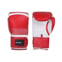Vector X Training Boxing Gloves Material 1 Pair of Glove (10 Oz, Red)- Amazon