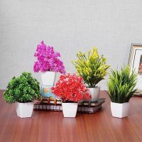Dekorly Set of 5 Bonsai Wild Artificial Plant with Pot (Multicoloured, 5 Pieces) Artificial Plants- Amazon