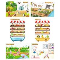 Vantagekart Birds, Animals, Vegetables, Fruits, Flowers, Shapes Educational Wall Posters/charts- Amazon