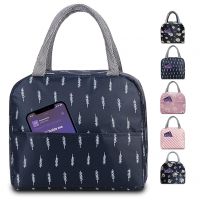 Tellumo Reusable Insulated Cooler Cute Lunch Bags- Amazon