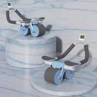 Lifelong Ab Roller with Timer, Mobile Holder & Knee Pad|Core Trainer Plank Exercise Wheels for Home Gym Fitness|Abdominal Exercise Fitness For Men & Women|Fitness Equipment- Amazon