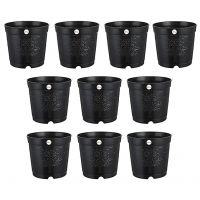 Kriti Kalash Nursery Seedlings Plastic Pots (6-inch, Black) -10 Pieces- Amazon