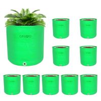 CINAGRO (Pack of 10 Grow Bags, 12x12 inch, Heavy Duty HDPE, UV Stabilized, Comes with Eyelets- Amazon