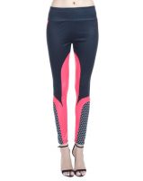Women Trousers & Trackpants from 150- Ajio
