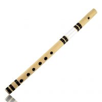 HARIPRASAD Flutes- Amazon