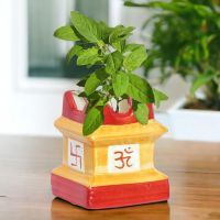 ecofynd 5 inches Tulsi Ceramic Plant Pots, Flower Pot with Drainage Hole, Decorative Modern Indoor Planters, Home Garden Decor- Amazon
