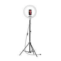 Amazon Basics LED Ring Light (12-inch) with Hot Shoe Adapter, Stand & Cameras, and 3 Temperature Modes- Amazon