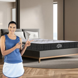 Centuary Mattresses Sleepables 6-Inch Queen Size Ortho Pocketed Zero P- Amazon