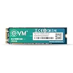 EVM 256GB M.2 (2280) SATA Internal SSD – 530MB/s Read & 420MB/s Write – 5-Year Warranty (EVMM2/256GB)- Amazon
