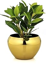 Superstar Cozy Corner Garden Planter Pot – Golden Finish | Aesthetic & Modern Style Planter Pot for Botanicals & Flowers | Durable & Sleek Pot- Amazon