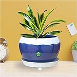 TrustBasket Table Top Planter Bowl with Saucer – Blue | Flower Planter for Home, Office, Living Room, Balcony, Garden Decoration, Best- Amazon