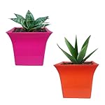Go Hooked Plastic Planter Pots Set of 2 | Multicolor Flower Pots Perfect for Home, Office & Garden Décor | Uber Square Pot 6.5 Inch- Amazon