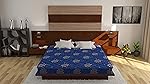 Centuary Mattresses Lotus 4-inch Double Size Natural Back Support Antimicrobial Foam Quilted Rubberised Coir Mattress (72x48x4)- Amazon