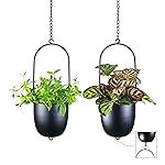 HemePaha Stackable Metal Hanging Planters, Set of 2 Black Oval Plant Hangers with 6 inch Flower Pots, Modern Wall and Ceiling Plant Holders for Indoor Outdoor Plants Home Décor- Amazon