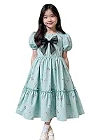 Tagas Girls’ Princess Dress for Girls|Girls Dress| Birthday Frock for Girl| (KD-215)- Amazon