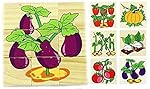 Vibgyor Vibes Early Age 6 in 1 Wood Block Puzzles for Small Kids (Multicolor)- Amazon