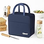 Crasts Insulated Travel Lunch/Tiffin/Storage Bag for Office, College & School Picnic & Lunch Bags- Amazon