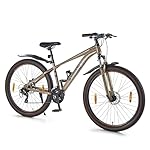 Lifelong Strong 29 Multi-Speed Cycle| Steel Frame, Threadless Alloy Stem | Shimano TY 300 RD Gear | Disc Brake | Cushioned Saddle with Quick Release Alloy Lever | Safety Reflectors | Cycle for Adults- Amazon