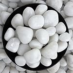 Foodie Puppies Polished White Pebbles Glossy Stones – 2Kg (2.5cm – 4cm) | for Home Decorative, Vase Fillers, Aquarium Fish Tank, Garden River Rock Unplanted Substrate- Amazon