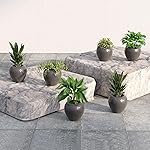 Lifelong Set of 6 Home Decor for Living Room & Balcony | 6 Inch Flower Pot | Decorative Indoor & Outdoor for Plants | Gamla, Pot Stand for Home & Garden Decoration | Ideal for Small Plants- Amazon