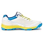 Boldfit Cricket Shoes for Men & Boys Sports Shoes for Lightweight Cricket Sports Shoes, Ergonomic Fit Sports Shoes Cricket Match Shoes for Practise- Amazon