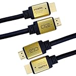 C & E (Cables & Etc® [2-Pack]- Ultra High Speed 18Gbps HDMI Cable – CL3 Rated – (10Feet), (3 Meters)- Amazon