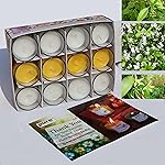 Pure Source India Pack of 12 Votive Scented Candles – Assorted Fragrances | Long-Lasting Aromatherapy Candles for Home, Decor, Spa & Gifting (Sandalwood, Jasmine, Vanilla)- Amazon