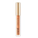 Lakme Powerplay Priming Concealer Built in Primer, Hydrating, Conceals Dark Circles 30 Cinnamon, 5.4ml (Fashionista Collection)- Amazon