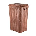 Cello Eliza Plastic Laundry Basket with Lid, Brown, 50 Ltrs | Lightweight and Portable | Storage Organizer | Convenient Handling | Useful For Storing Clothes, Toys, Books- Amazon