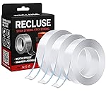 Recluse He...