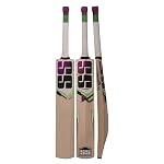 SS Josh Kashmir Willow Cricket Bat- Amazon