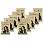 Nisha Nature Mate Henna Based Hair Color Powder Without Ammonia Natural Hair Colour for Women & Men 10gm Pack of 10 (Original Black)- Amazon