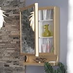 CIPLA PLAST New Look Plastic Multipurpose Cabinet | Storage Organiser | Strong Plastic Bathroom Shelves Wall Mounted | Bathroom Accessories| Mirror Cabinet-(Made in India) (Metallic Gold)- Amazon