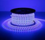 Mufasa LED Strip Light Indoor Outdoor Waterproof SMD Roll Home Decoration Lights, Diwali Christmas Navratri Birthday Party (Adhesive Less Back) (Plug N Play) (20 Meter, Blue)- Amazon