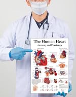 Tamatina Wall Posters | Educational Posters | Biology | Anatomy | Hospitals | Study | School | College | Laminated | Tearproof |Size-45X30 cms.a4790- Amazon