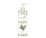 Biotique Basil & Parsley Revitalizing Body Wash | Soften Skin | Provides Natural Brightness | Deeply Cleanses | 100% Botanical Extracts | Suitable for All Skin Types | 200ml- Amazon
