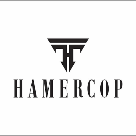Hamercop logo