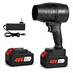 Cordless Air Blower with 2 Rechargeable Batteries- Amazon