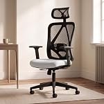 DROGO Ergonaut Ergonomic Office Chair for Work from Home | Computer Chair with 2D Headrest, Armrests & Adjustable Lumbar Support | Breathable Mesh with 120° Recline, 1-Year Warranty (Black & Grey)- Amazon