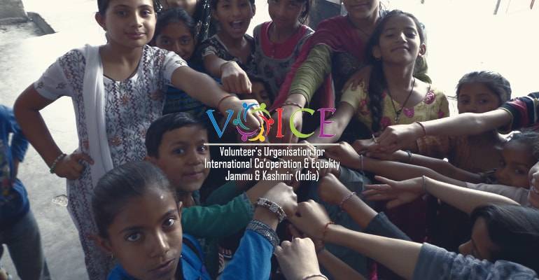 Voice - Volunteers Organization for International, Cooperation and Equality