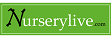 Nurserylive