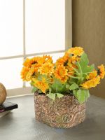 70% Off on Vases    Starts from Rs. 160- Myntra